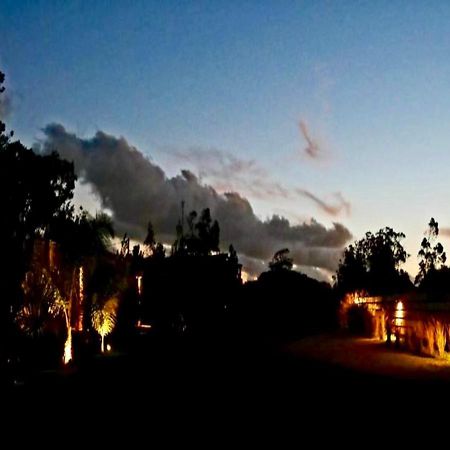 Hjem Studios La Pedrera Εξωτερικό φωτογραφία